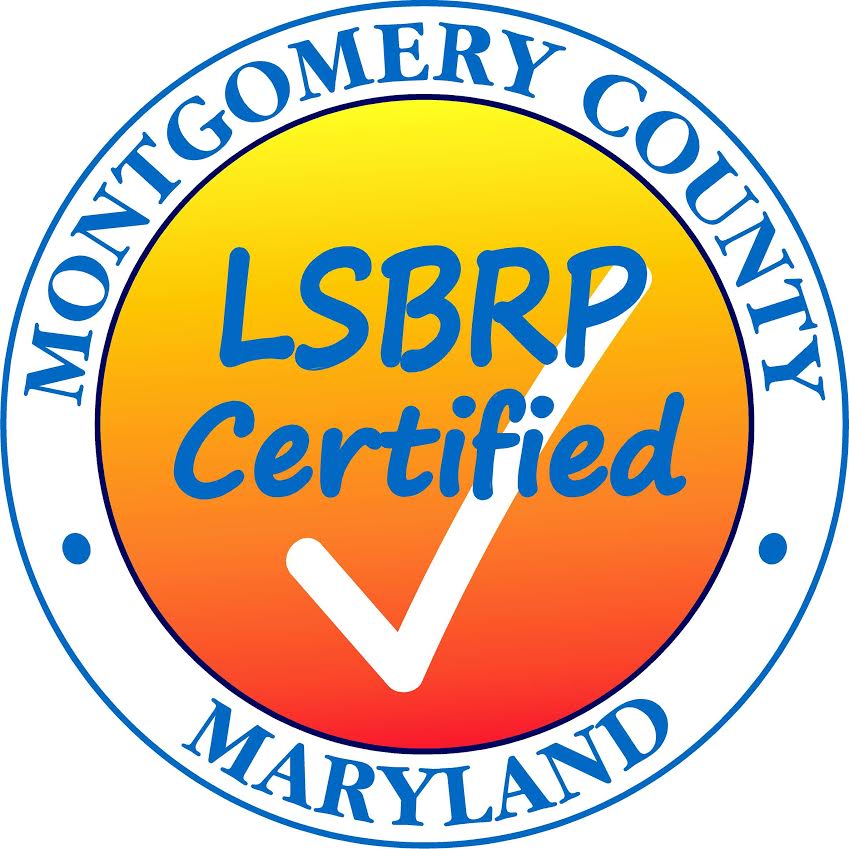 LSBRP Certification